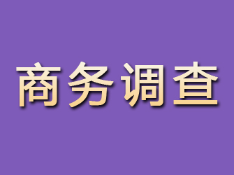 湛河商务调查