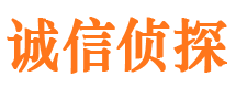 湛河外遇调查取证